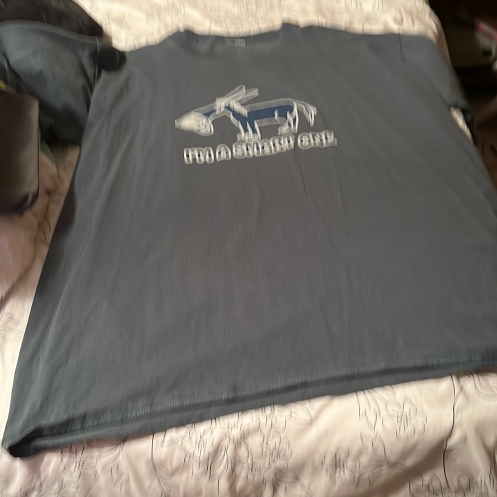 A 3x novelty shirt that says “I’m a smart one”. Gray in color